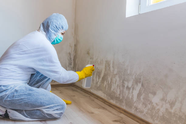 Hvac And Air Duct Mold Remediation inspection of HVAC system in Hamilton